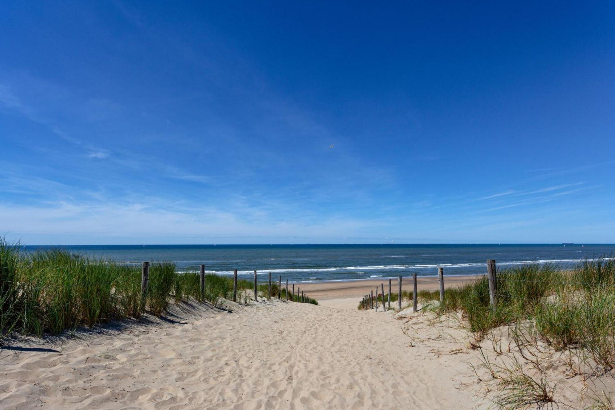 Appartement La Coquille Zandvoort Zewnętrze zdjęcie
